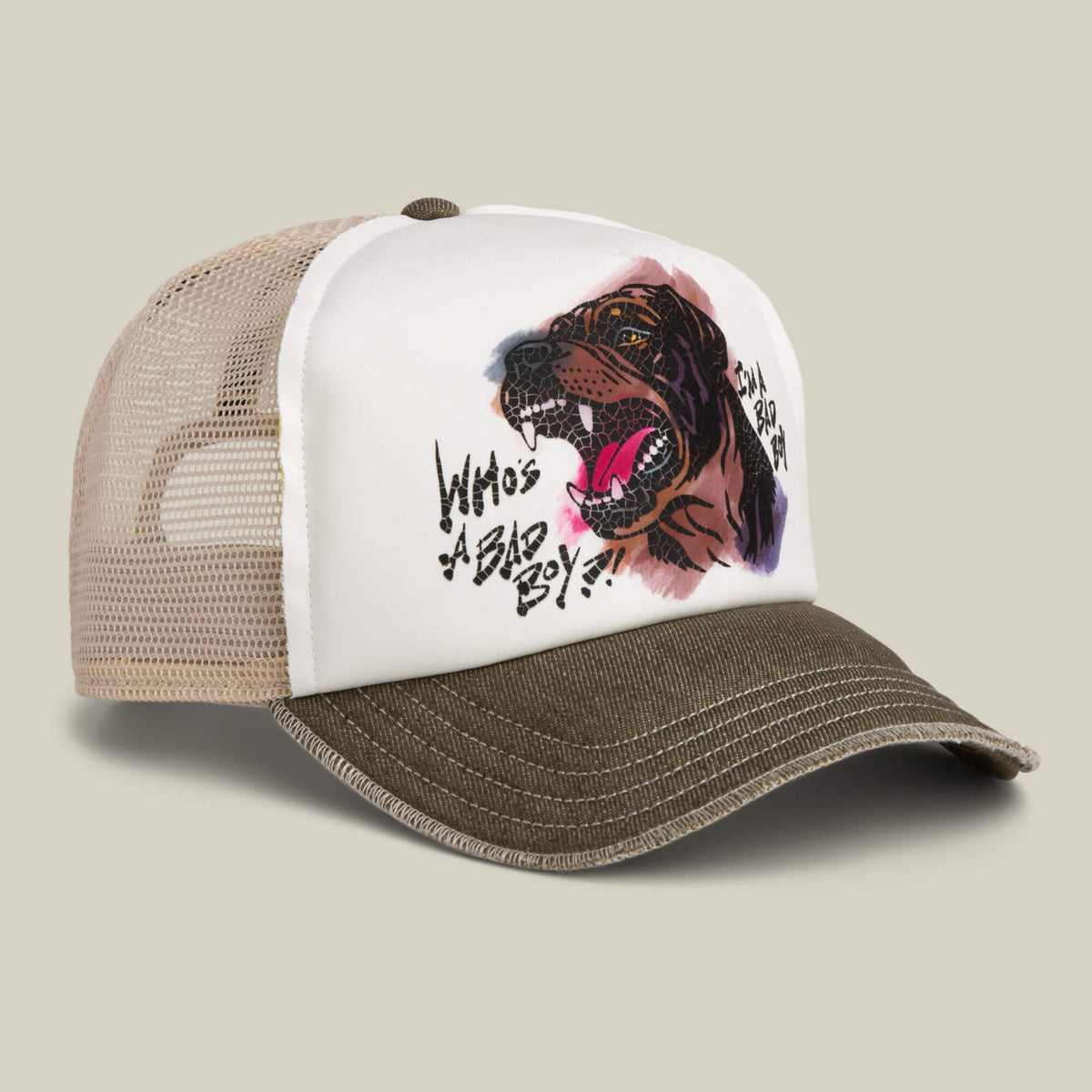The Goorin Bros. "Bad Boy Disruption" trucker hat features brown mesh and brim, plus a hand-illustrated barking dog with the words "Whos a Big Boy!" on the front panel.