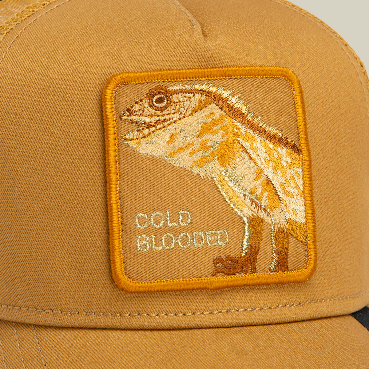 Close-up of the Goorin Bros. Circle of Life - Cold Blooded tan trucker hat, featuring a stitched patch with a bearded lizard and “COLD BLOODED” embroidered in yellow, from the Circle of Life collection.
