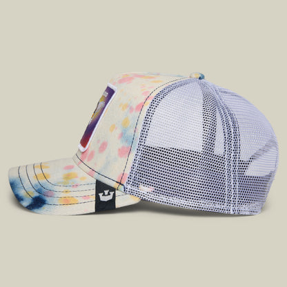 101-3904-MULTI-S01