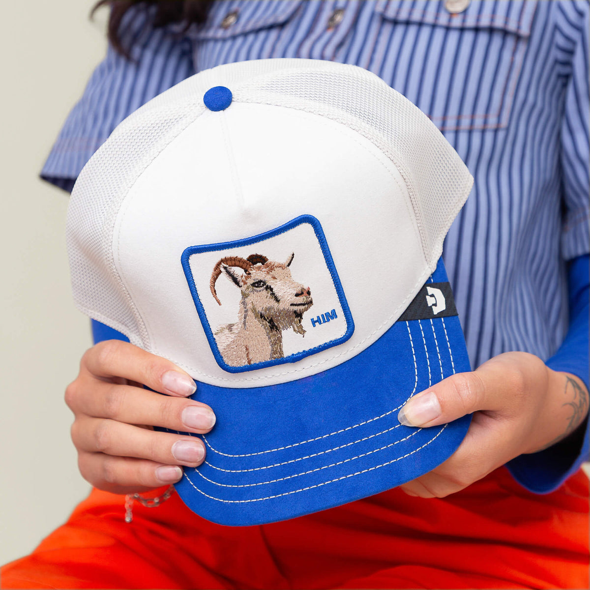 Person holding the Goorin Bros. Suede Goat hat, featuring a white crown, electric blue brim, and an embroidered goat patch with "HIM" on the front.