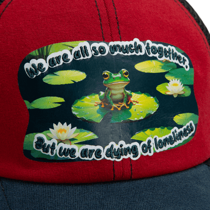 A close-up of the Goorin Bros. "Lil Sohei" recycled red and blue hat, featuring a patch with a frog on lily pads and the text: We are all so much together, but we are dying of loneliness.