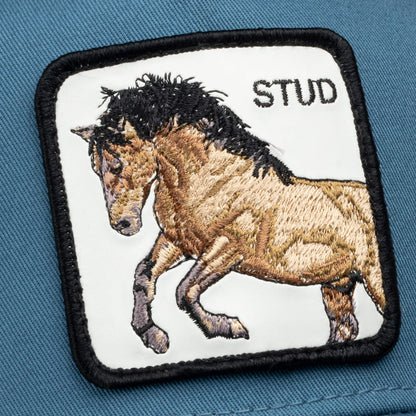 The Goorin Bros. "Dad and Pony Show (Adult)" features an embroidered STUD patch of a tan horse with black mane and tail, sewn onto a blue fabric background.