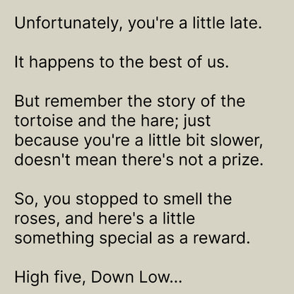 On a soothing beige background, the “Down Low...” hat by Goorin Bros. offers gentle encouragement for those who arrive at their own pace, playfully nodding to the tale of the tortoise and the hare. It reminds you that taking your time is a true badge of honor—sometimes, life’s most meaningful rewards come when you pause to savor each moment instead of racing ahead.