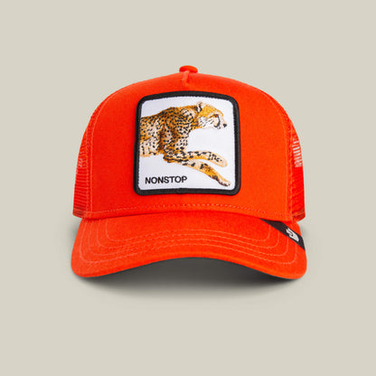 The Goorin Bros. The Nonstop Cheetah Mini Noir kids cap in BLAZE features a bright orange mesh design with an orange crown and a front patch displaying an embroidered cheetah and the word “NONSTOP” in black text.