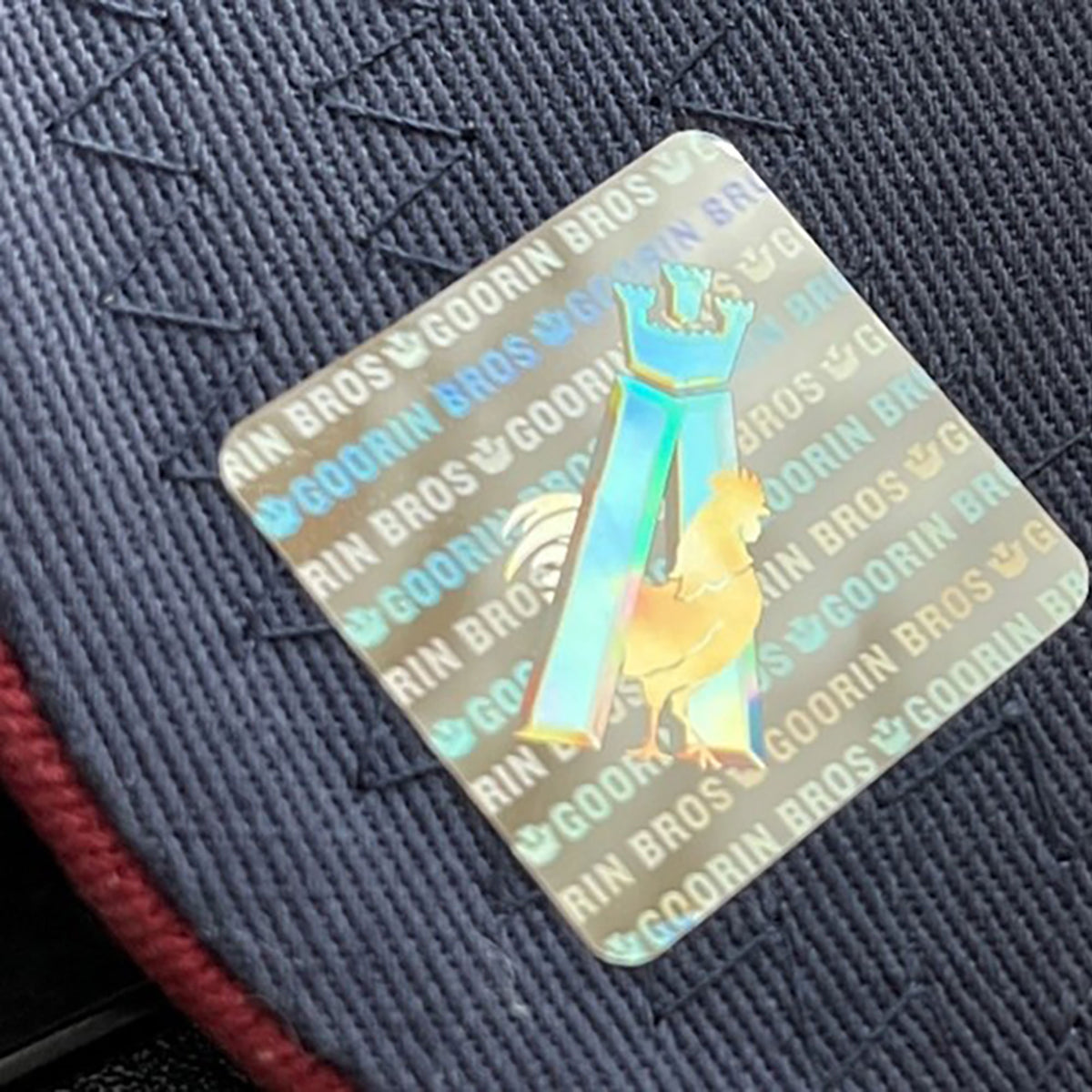 Holographic-Image.jpg