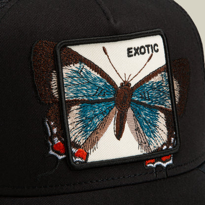 The Goorin Bros. Over the Line Butterfly is a black, breathable mesh cap featuring a rectangular patch with an embroidered blue and brown butterfly and the word “EXOTIC” in black letters on a white background.